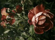 redroses.jpg - 80 x 110 cm  oil tempera on wood   2009